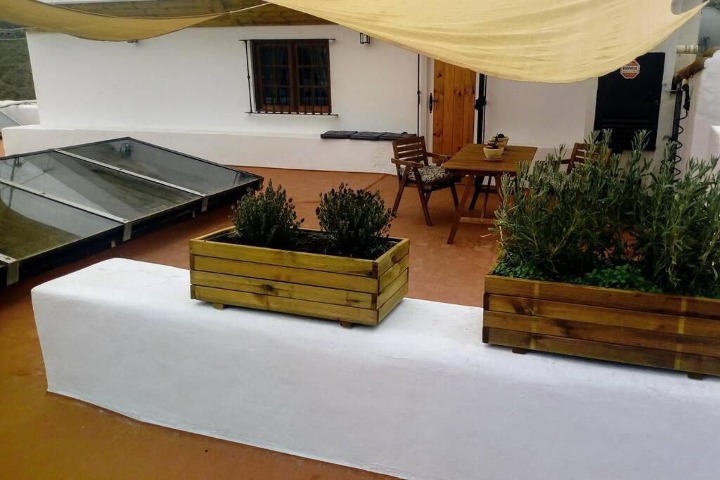 Casita Bioclimatica En El Campo Apartment Арукас Екстериор снимка